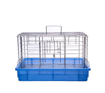 养兔子怎么干净卫生,养兔子的缺点和坏处