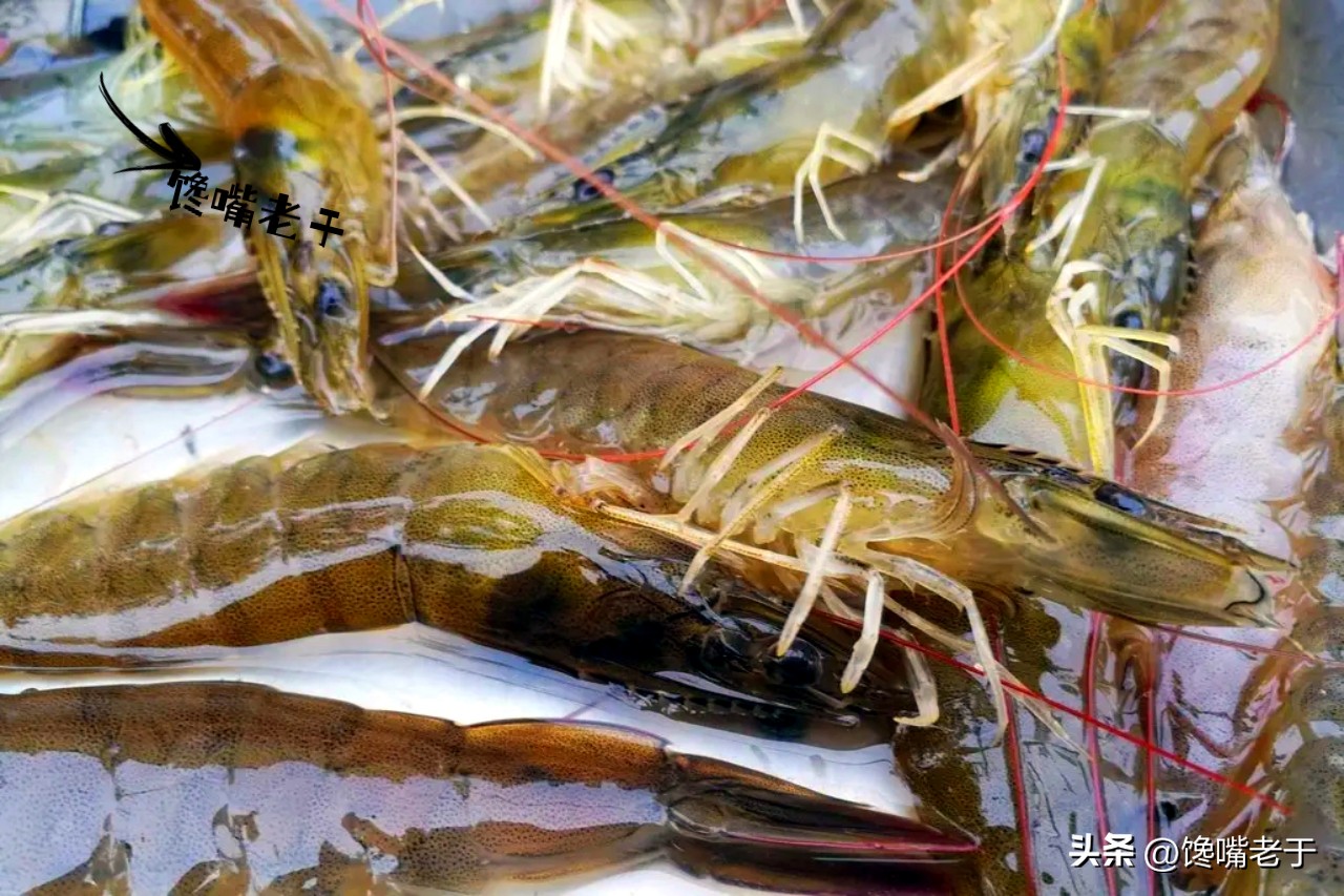 购买虾的正确方法和技巧,买虾要牢记这几点