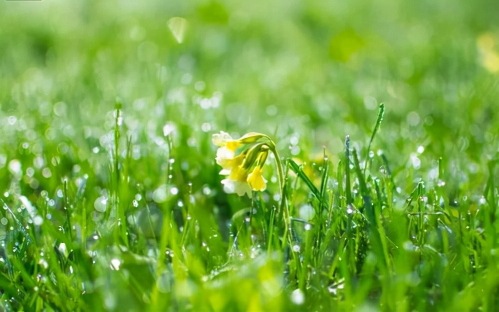 岁月漫长抵不过热情澎湃,岁月漫长仍值得等待