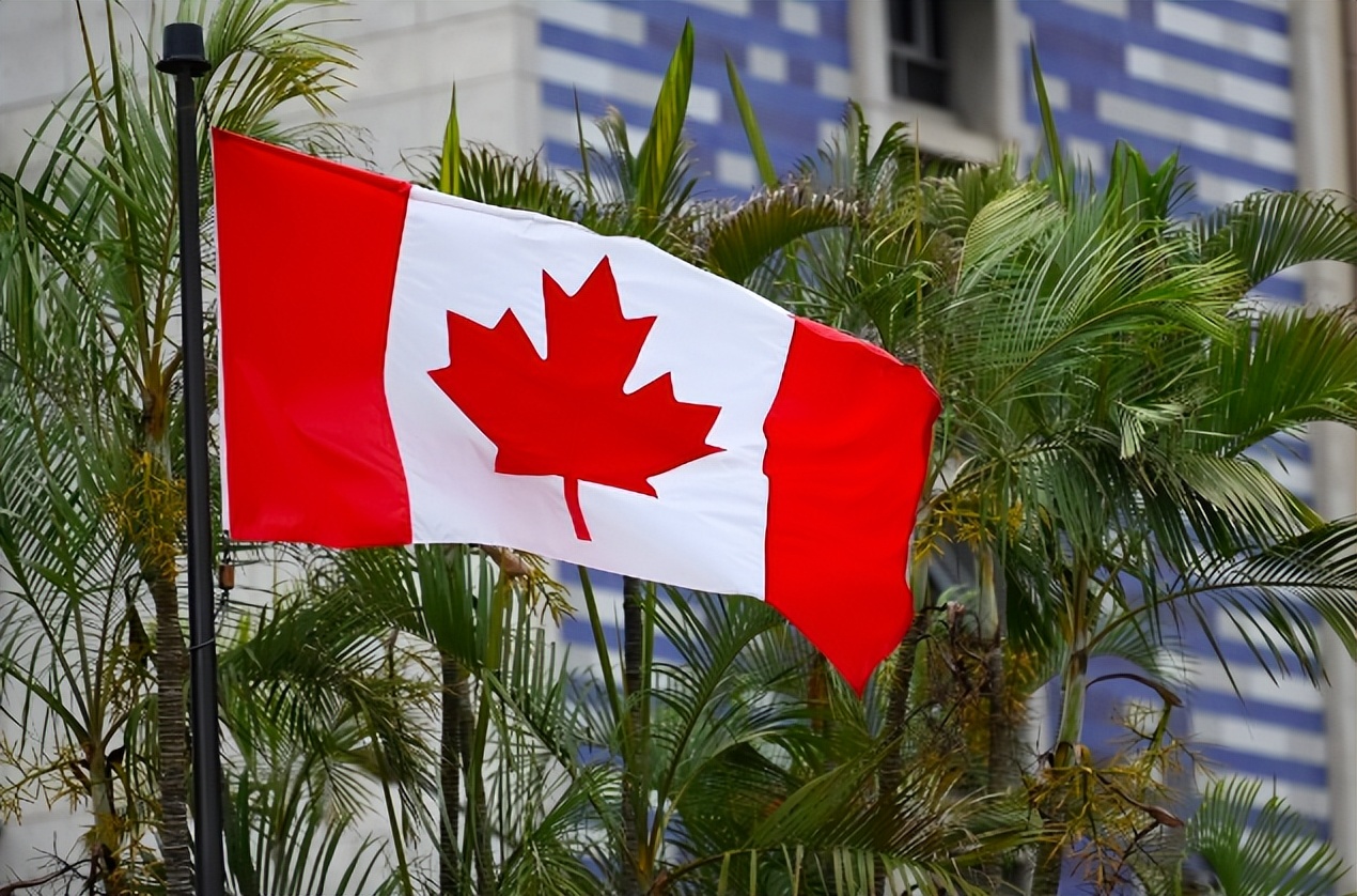 2023年加拿大最吃香的职业,2023加拿大紧缺职业列表