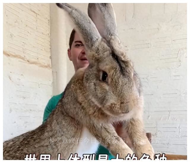 mrna疫苗的研发历程,mrna疫苗的发展趋势