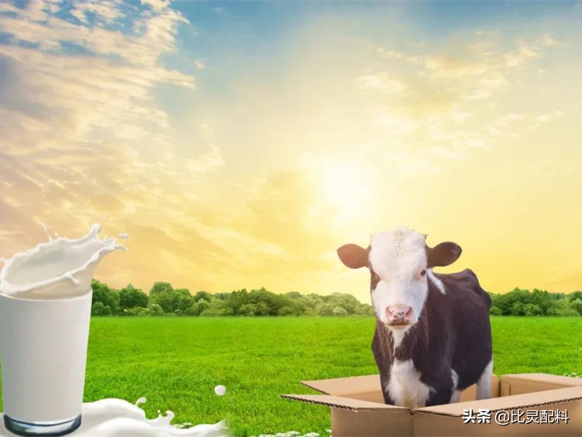 菊粉帮助消化吗,菊粉润肠道