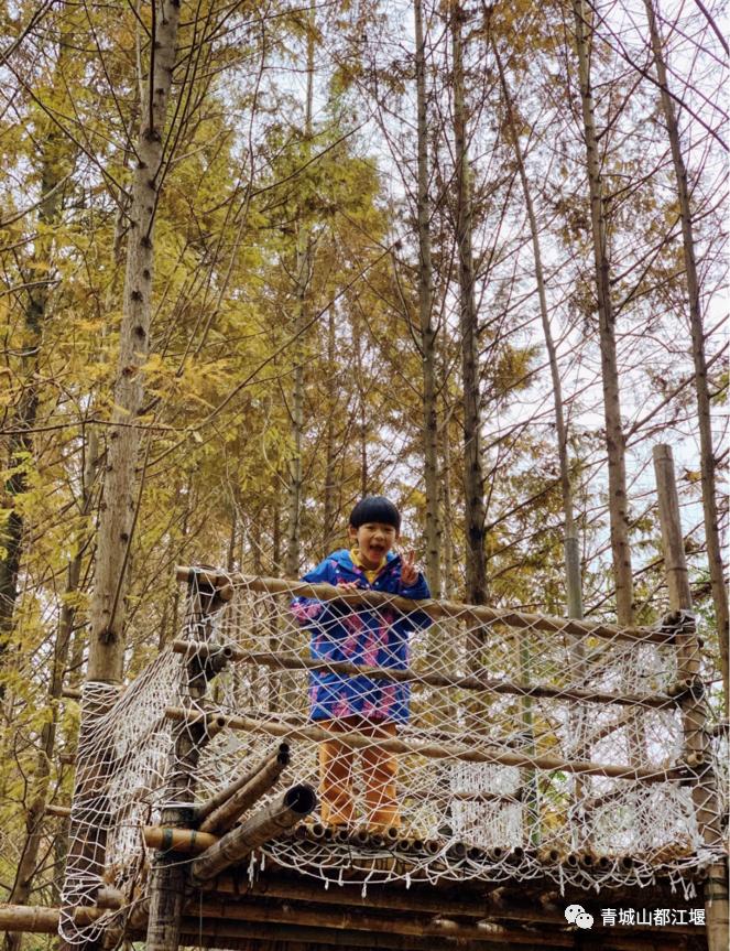 1h直达超好耍露营地！这五处秘密基地出片率100%，带你在星空下篝火旁，拥抱元气秋日大自然~