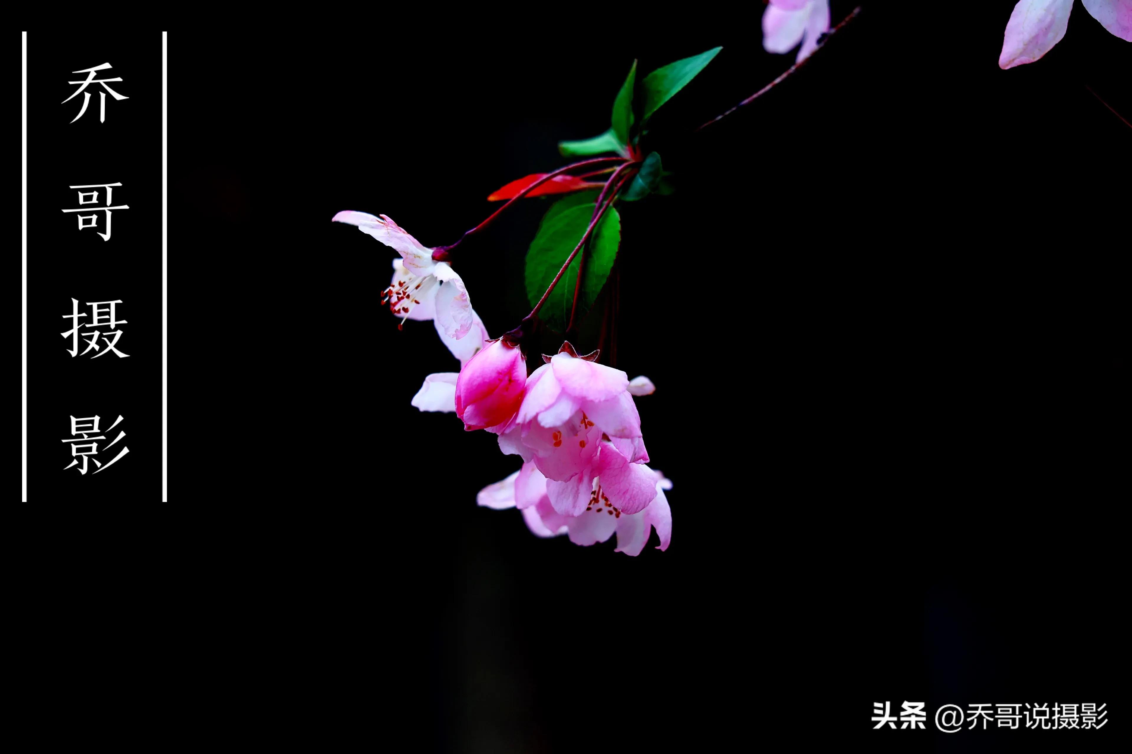 摄影重要还是后期重要,摄影和后期哪个重要