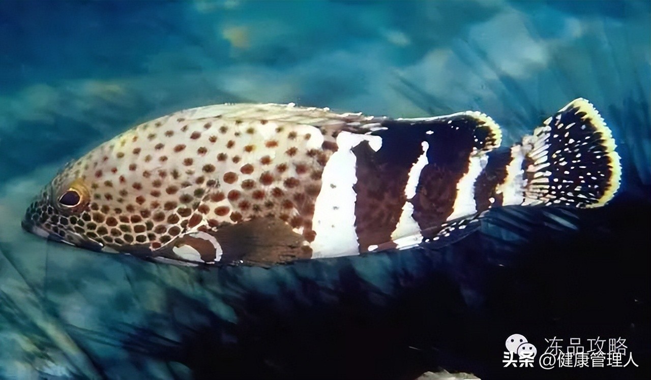 美容护肤食疗方案,美容护肤养生介绍