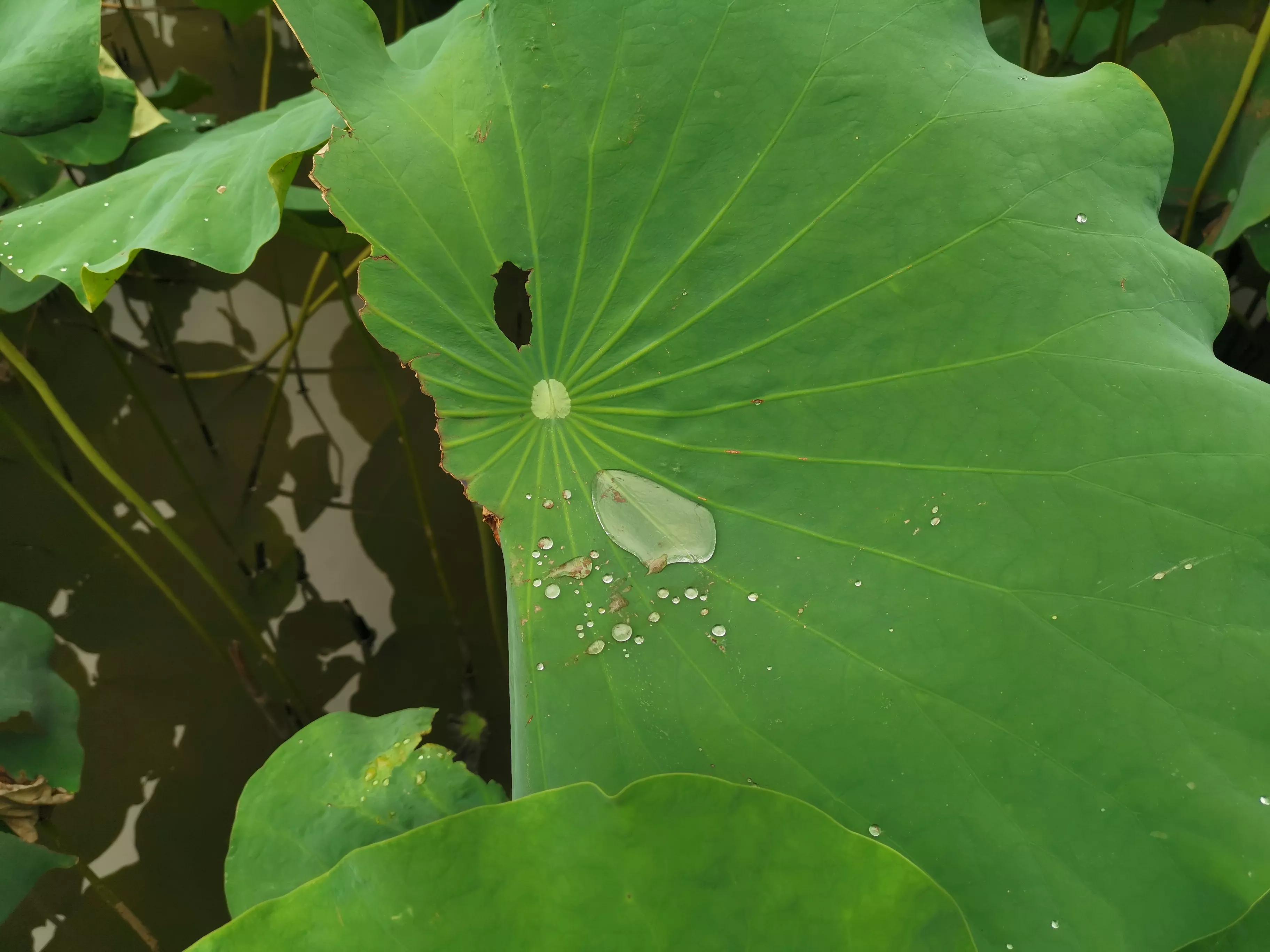 朋友圈的变化,朋友圈的兴衰