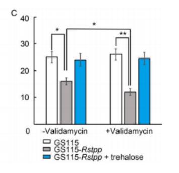 海藻糖代谢,海藻糖对植物抗逆性的作用