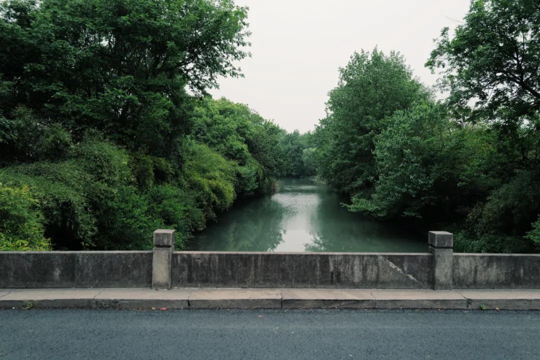 春天的潺潺溪水,春天的顶流
