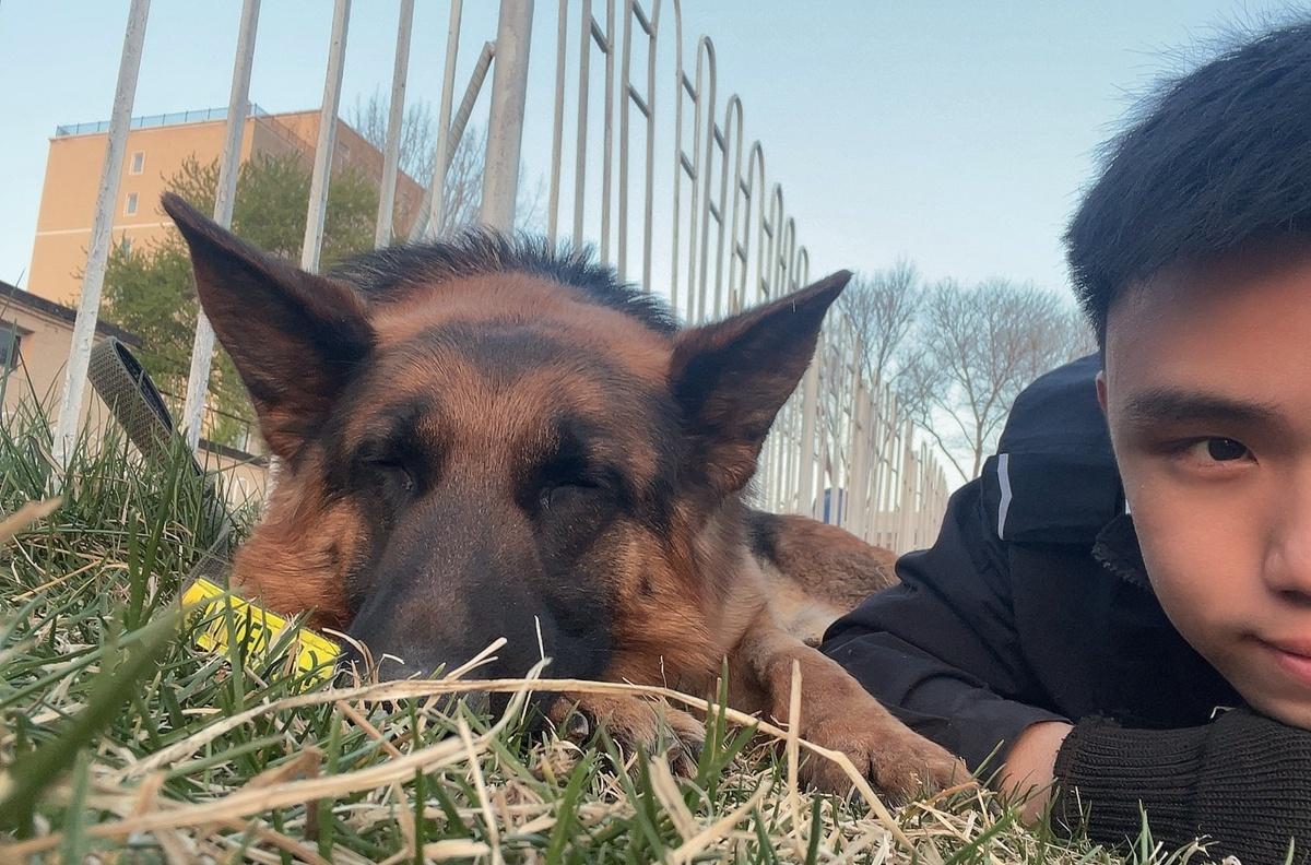 中国刑警学院警犬技术分数线,刑警学院警犬技术专业优秀毕业生