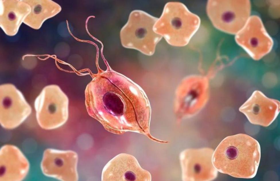 内裤好多分泌物代表什么,女性裤头总有异味怎么回事