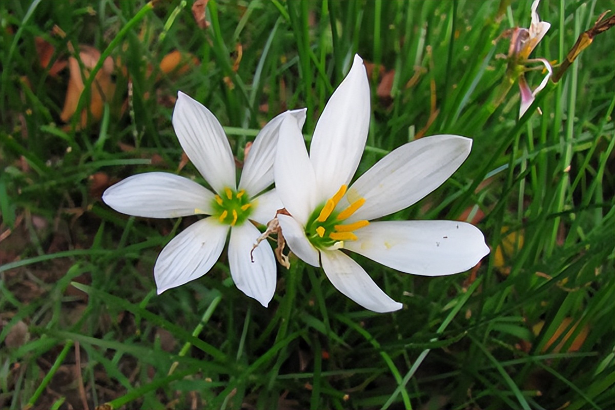 情侣之间分手正确处理方式,假分手怎么挽回