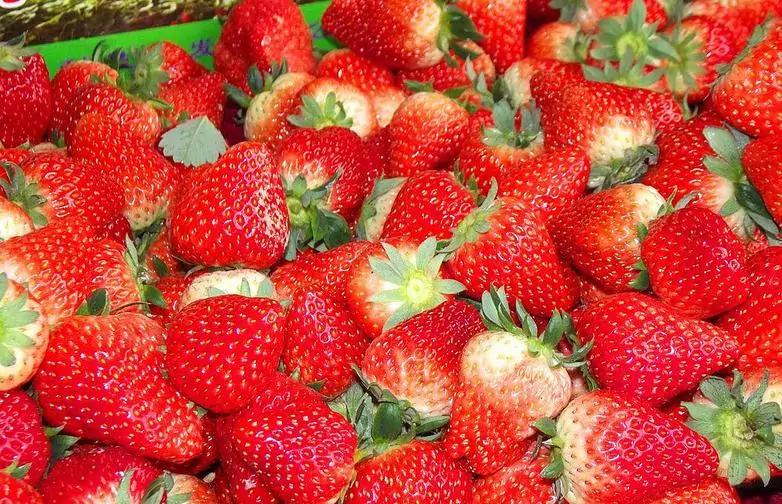 临沂英农精品草莓,好品山东品牌