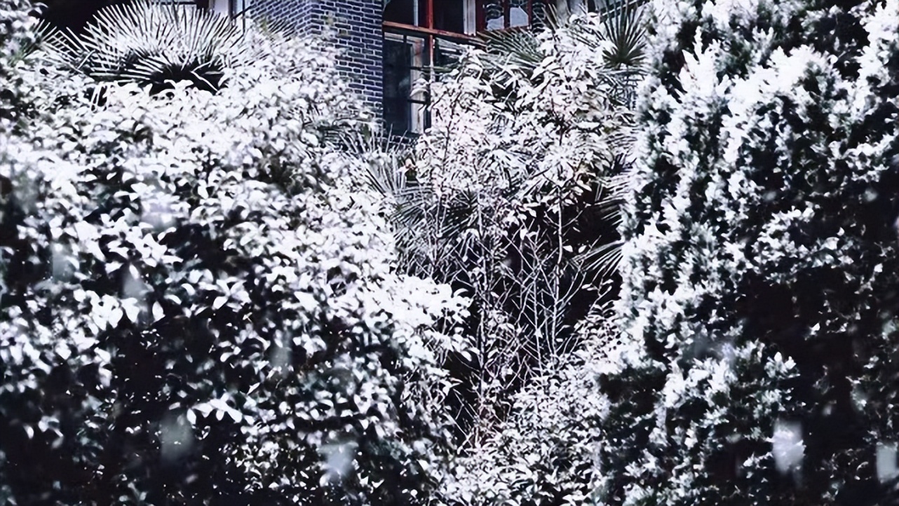 成都高校现在对外开放了吗,成都高校最新消息