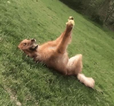 简短沙雕冷笑话,沙雕冷笑话故事