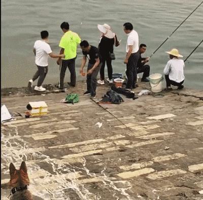 开心一刻｜有人接单吗？接一下我的孤单