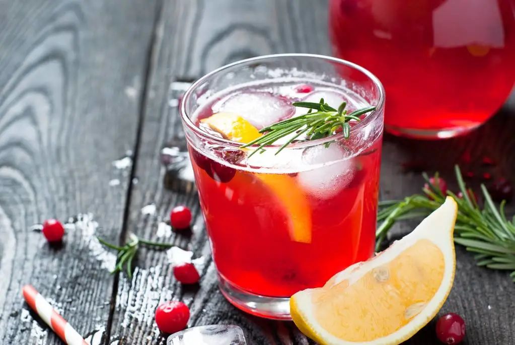 家里好养的绿植最新最流行的,家里好养的绿植推荐