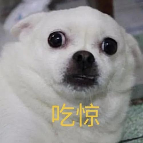 十二生肖三分钟的了解,十二生肖知多少这些知识你了解吗