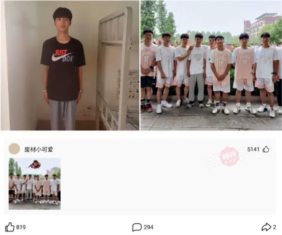 为什么鳄龟长大了背甲会变,鳄龟为什么养的背甲很大