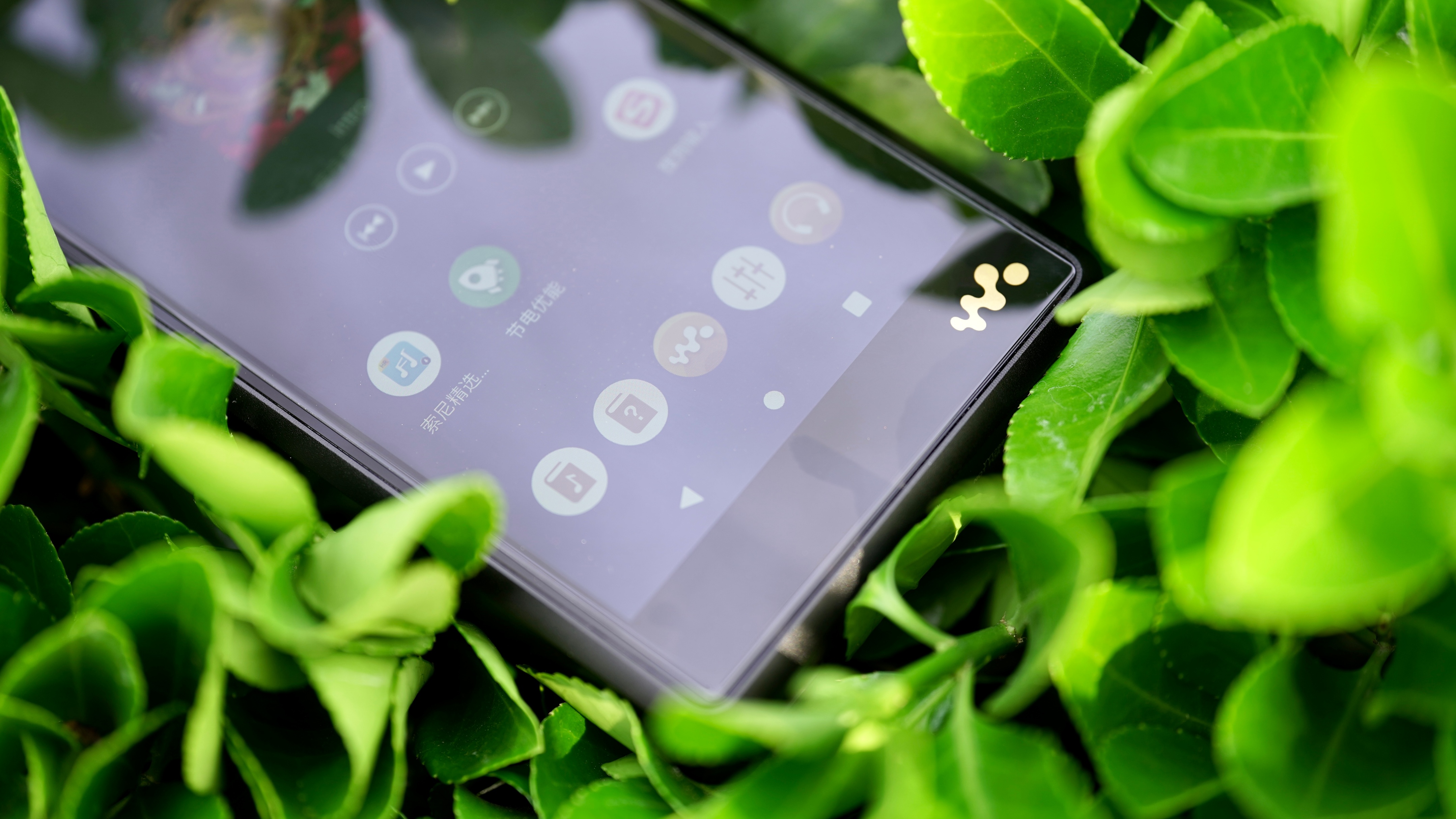 索尼walkmanwm2,索尼wm1zm2使用说明