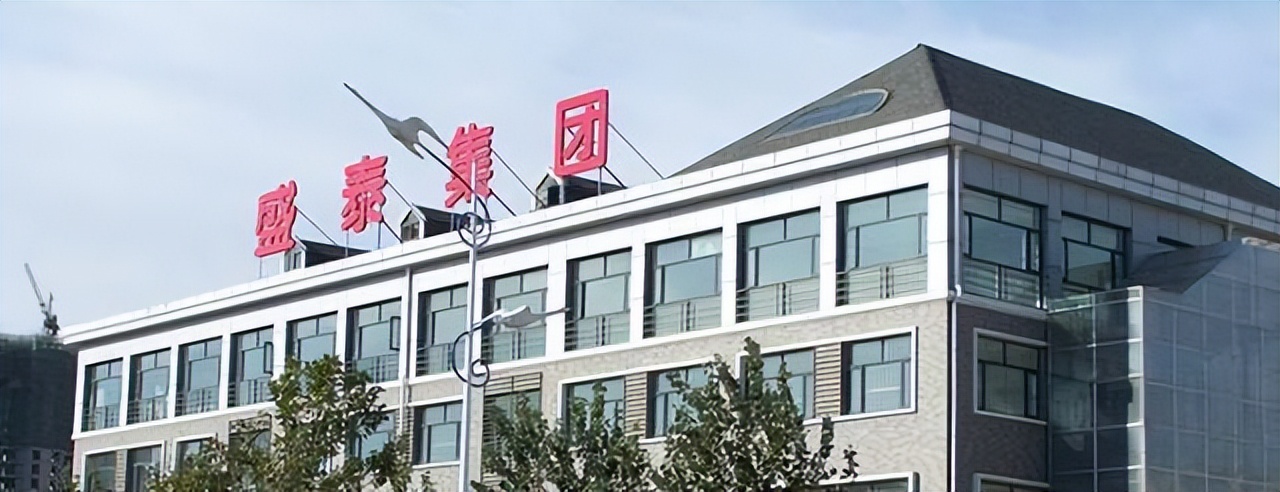 雅戈尔重仓股份,雅戈尔嵊州盛泰色织科技有限公司