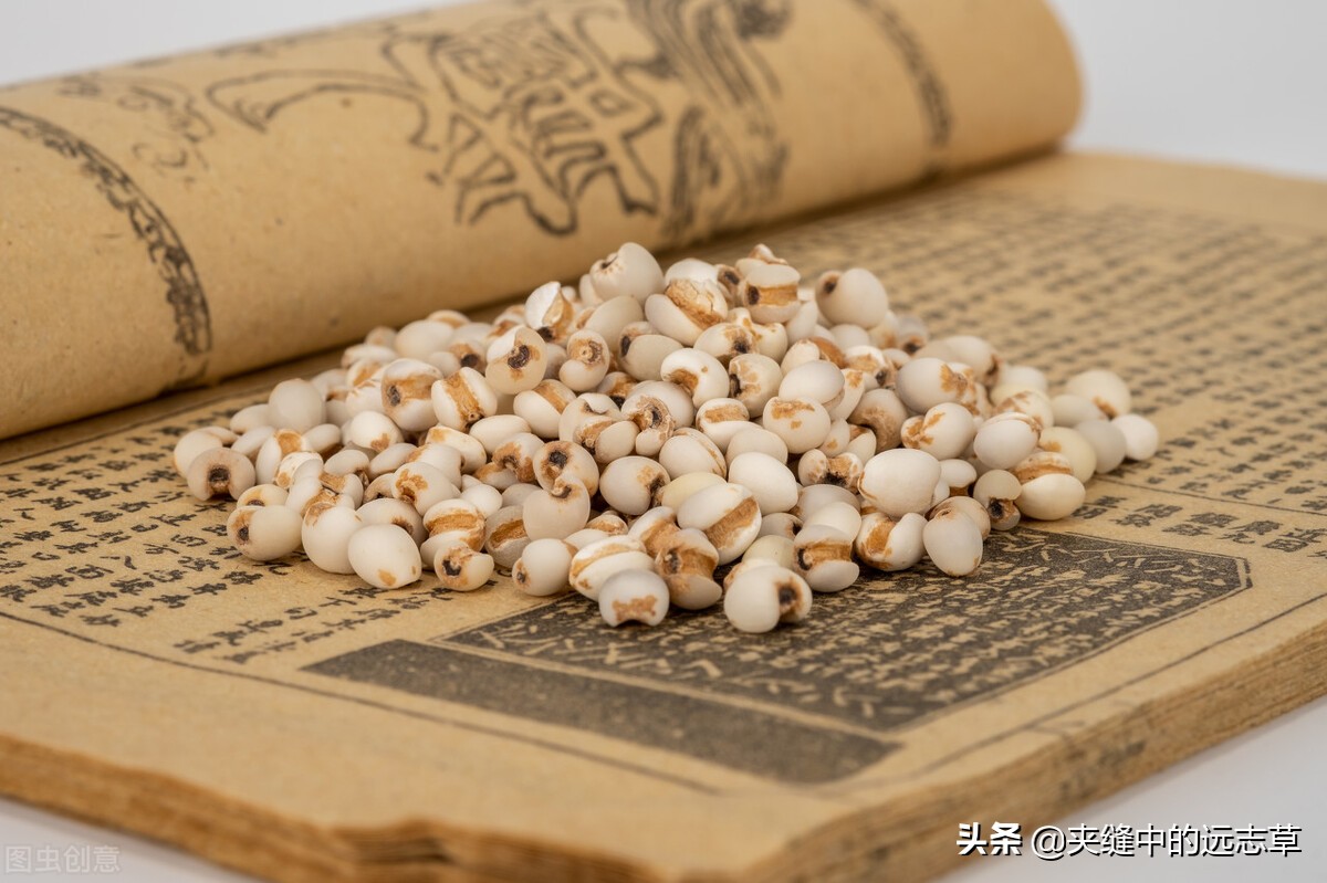 专治息肉的四味药组方,中医四味药消除大部分息肉