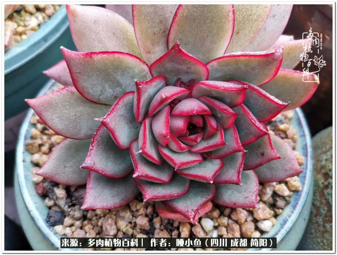 看世间繁华品一生,看世间繁华品人生美味