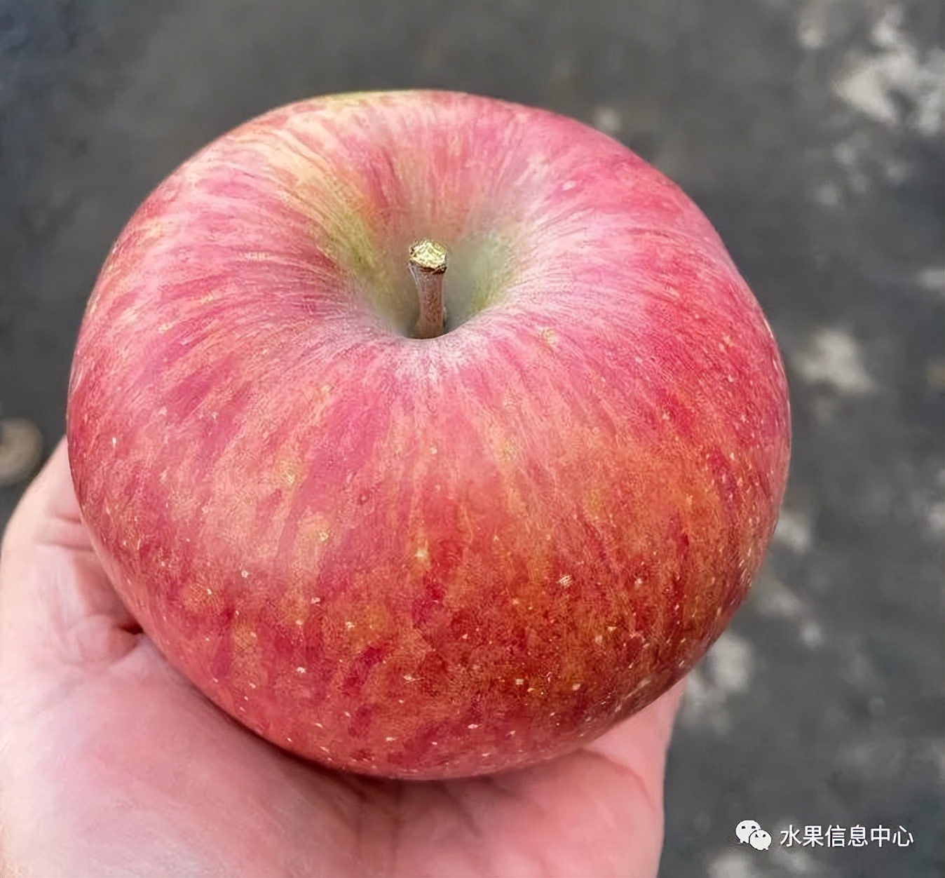 苹果排名第一是哪种苹果,苹果品种好吃排名