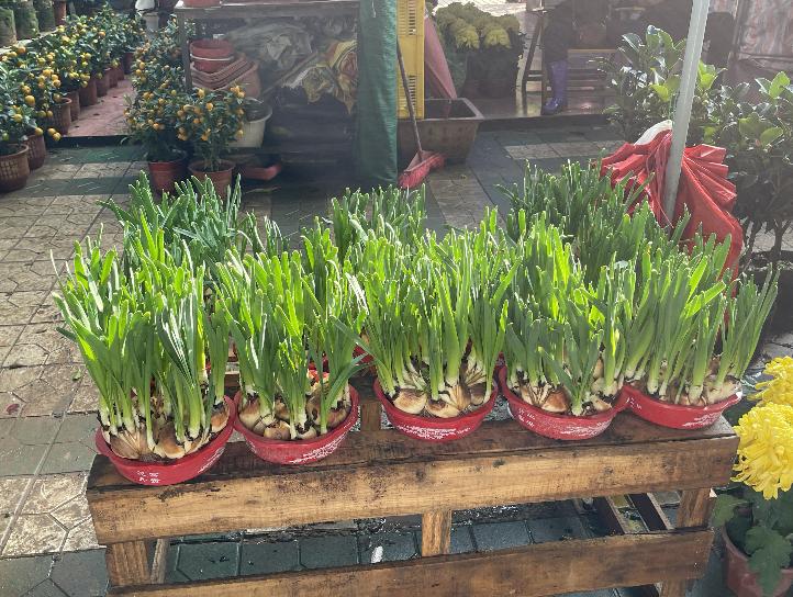 广州芳村花地古玩城,花地湾古玩城花市