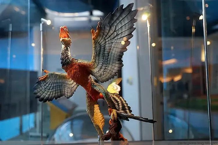 会飞的恐龙分别都是什么样子,会飞的恐龙大全