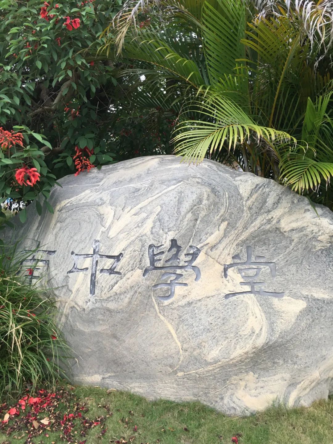 旭光车行雅迪电动车,旭光单车