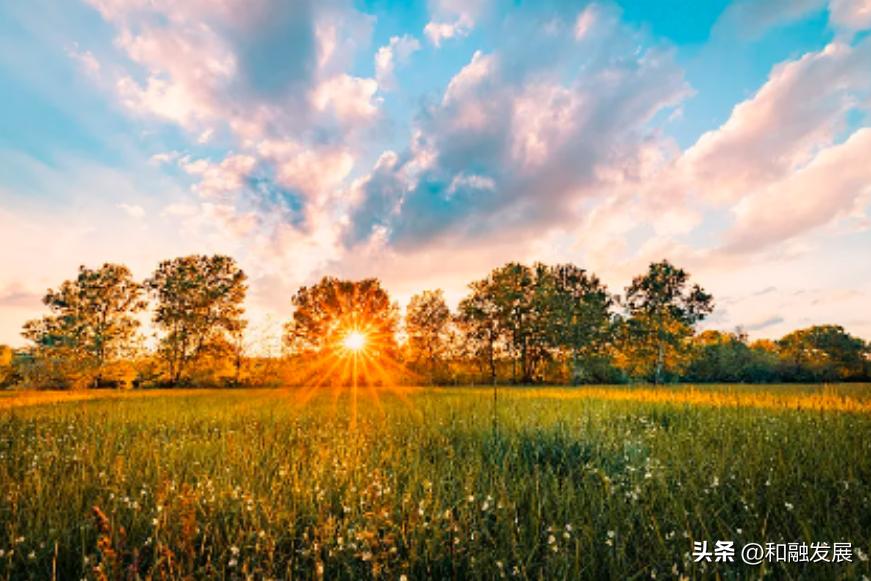 农业转型升级对标高效农业的思考,农业转型发展与乡村振兴