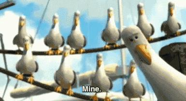 喂过一次大连海鸥，人类就要为自己的弱小羞愧