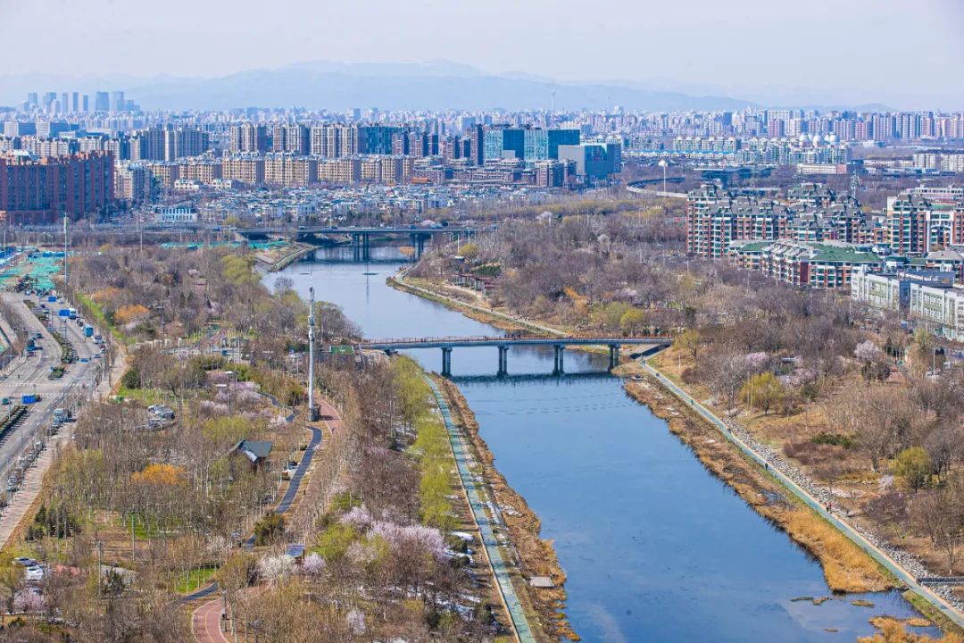 春雪初霁,春雪初霁杏花正芳月上夜吟