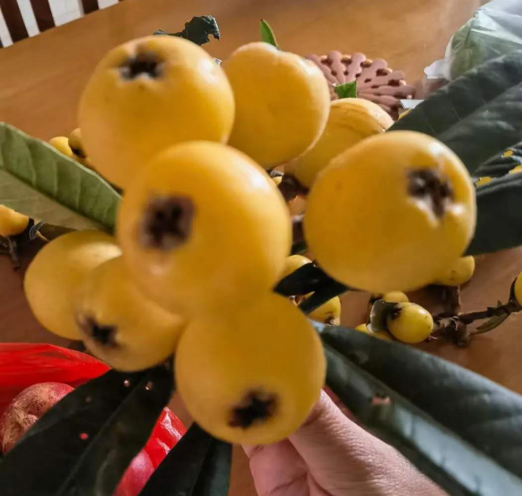 跑船这么多年，在船上没有吃到的水果是这个