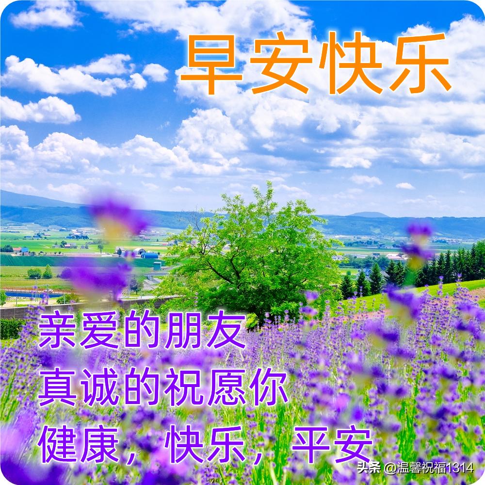 最新最美的早上好问候图片带字,早安问候图片2018年