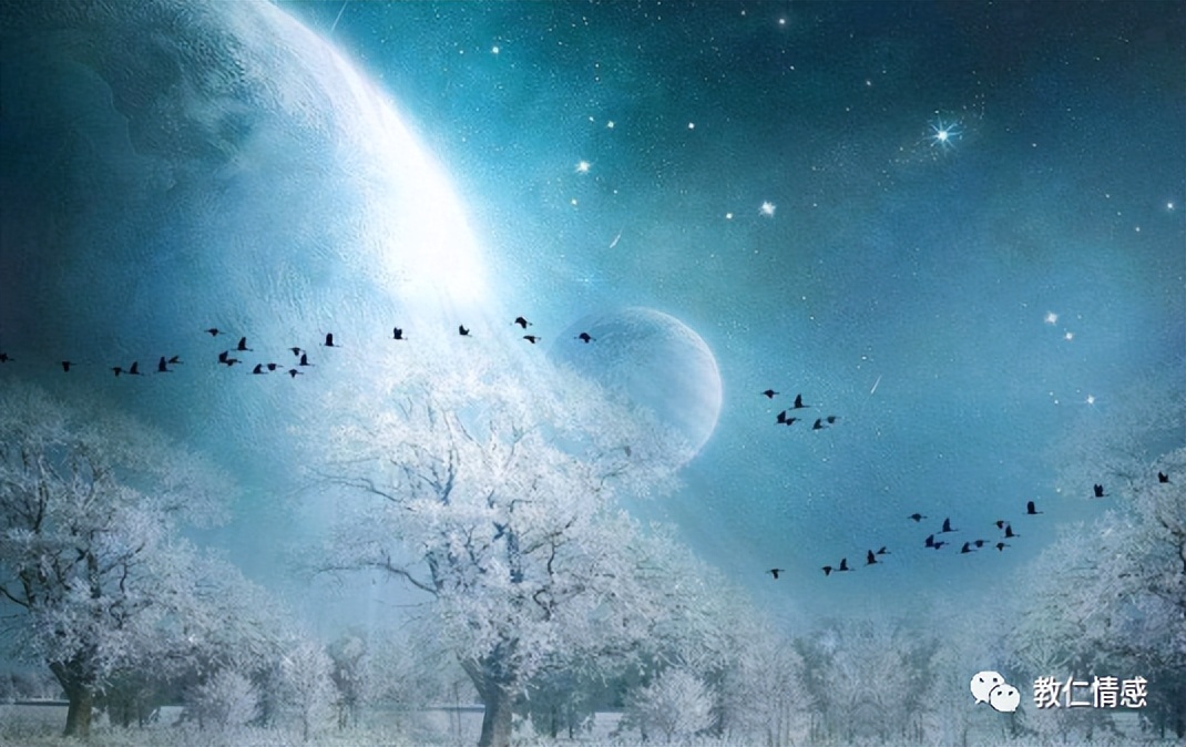 成年人聊天工具,成年人的聊天工具