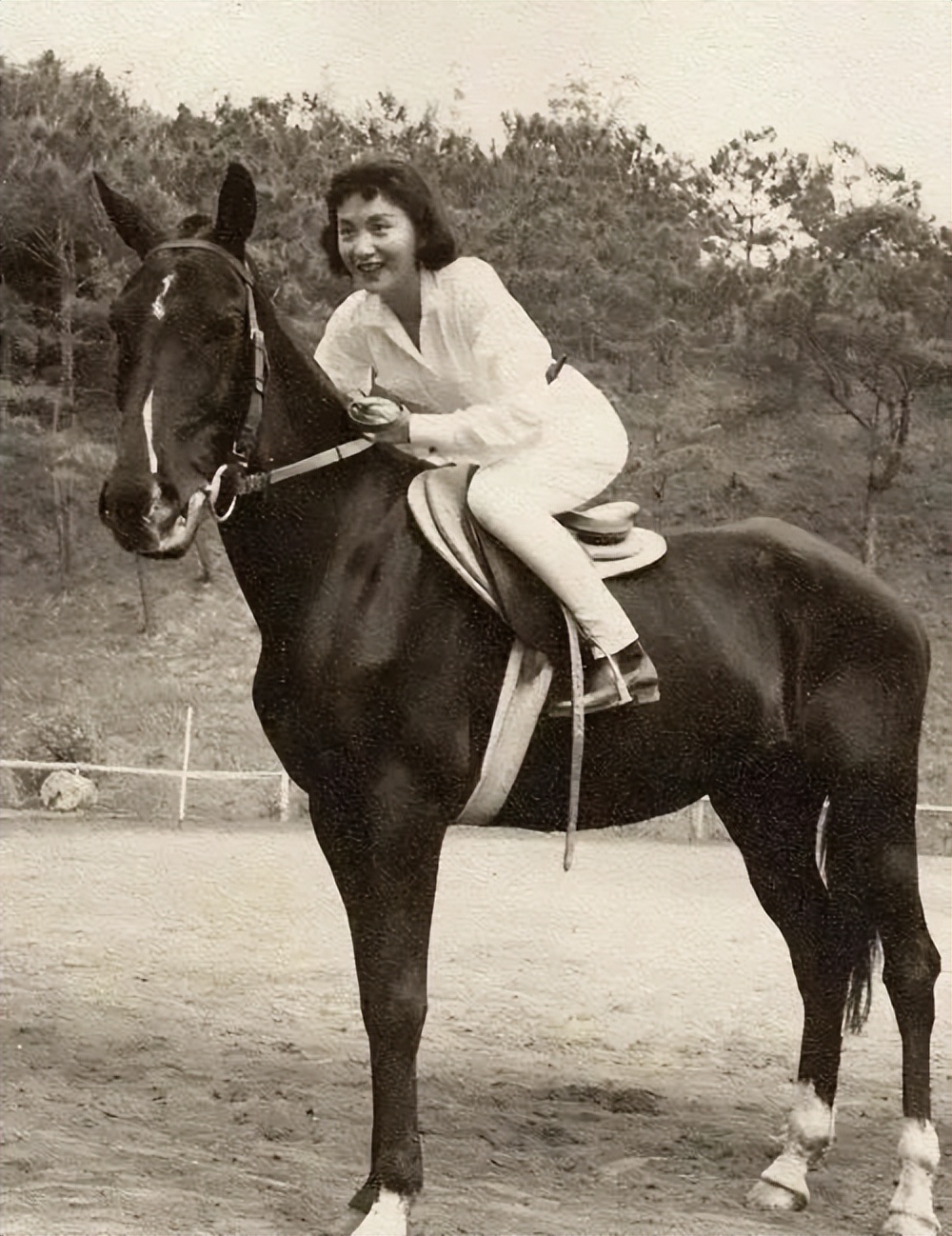 上海总会俱乐部,上海10大俱乐部