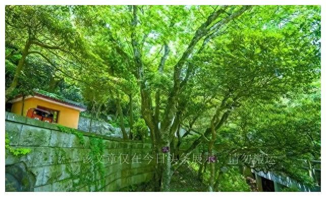 太阳系算大吗,太阳系和银河系大小对比图