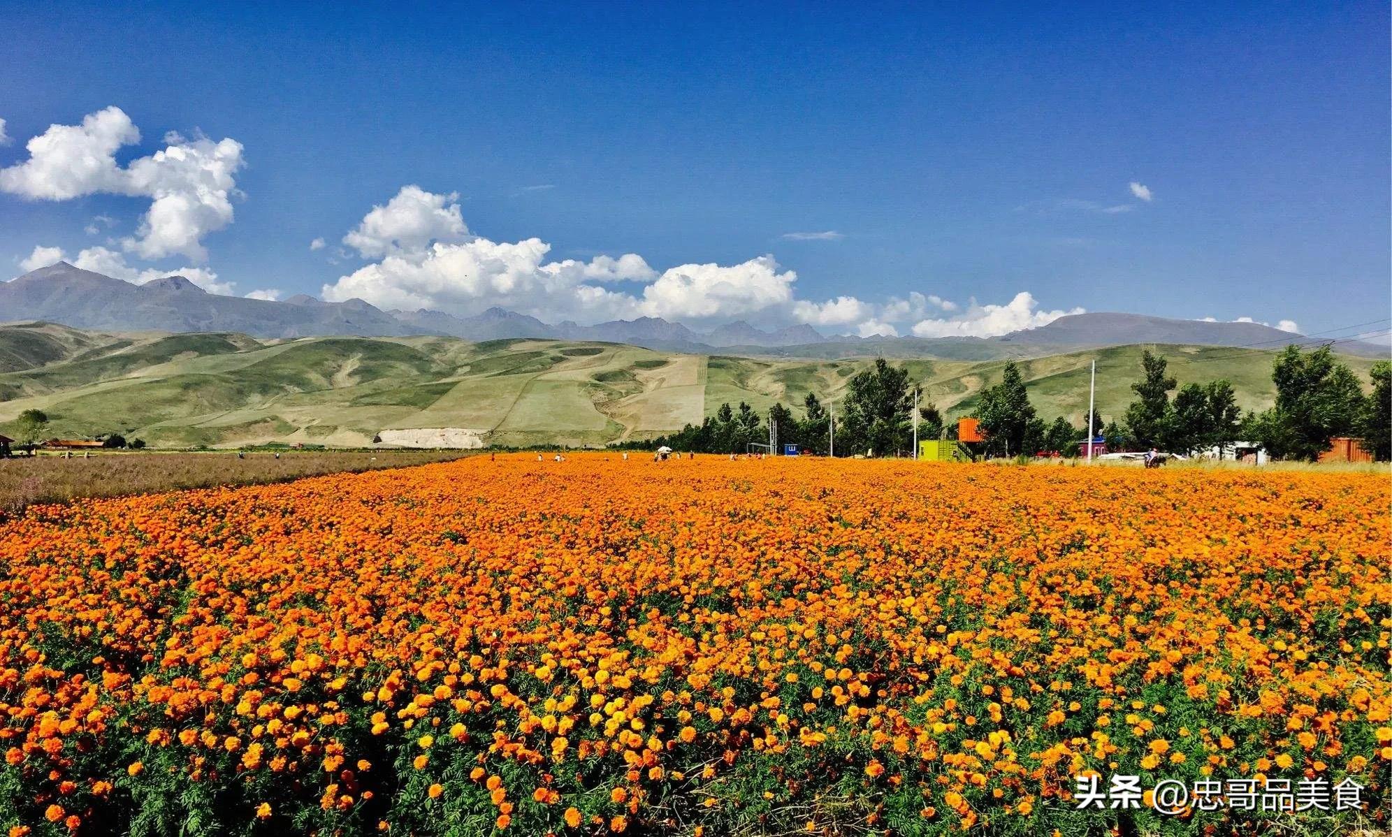 日落晚霞映照九曲十八弯,日落黄昏的九曲十八弯