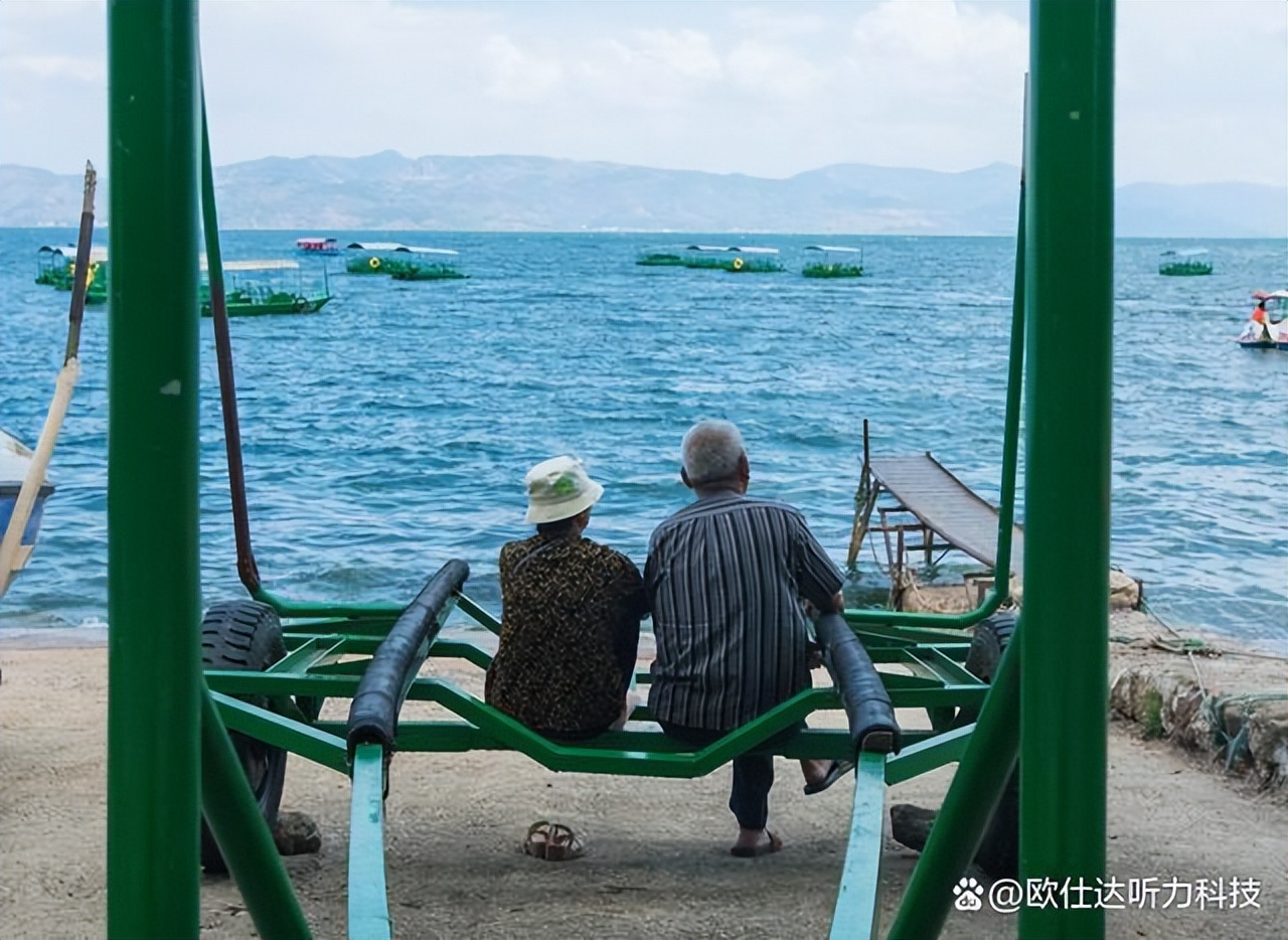 听力障碍补救,助听器能治疗听力障碍吗