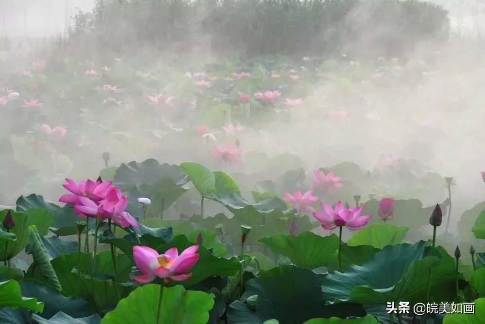 夏天避暑宝藏胜地,安徽夏天避暑最佳旅游地