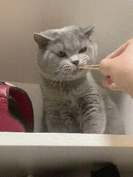 电脑cpu温度高的图片,电脑cpu温度对照表