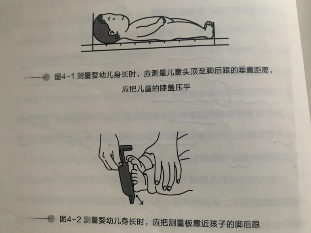 萝卜有助于长高的吗,萝卜长高课程