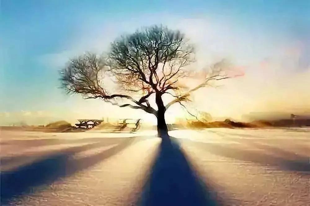 人生要想有所成就的话,人生想要成功有多难