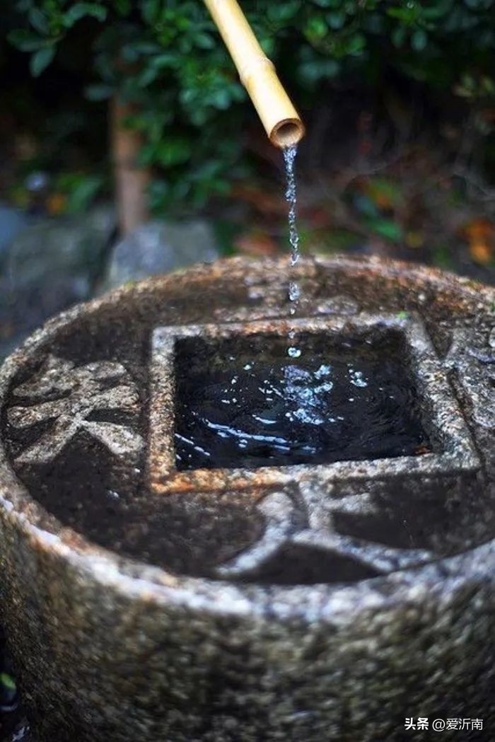 十首绝美夏天诗词大全,微雨过小荷翻榴花开欲然全诗