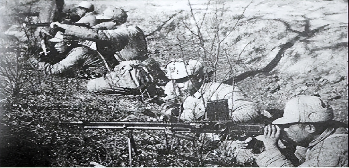 东野西野华野中野华北介绍,东野西野中野华野