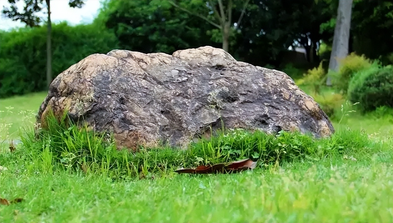 朵洛莉丝回溯前世,回溯催眠师朵洛莉丝案例