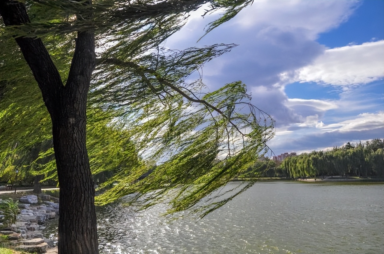 你还读过描写春天的诗文吗,关于春天的句子和诗句大全