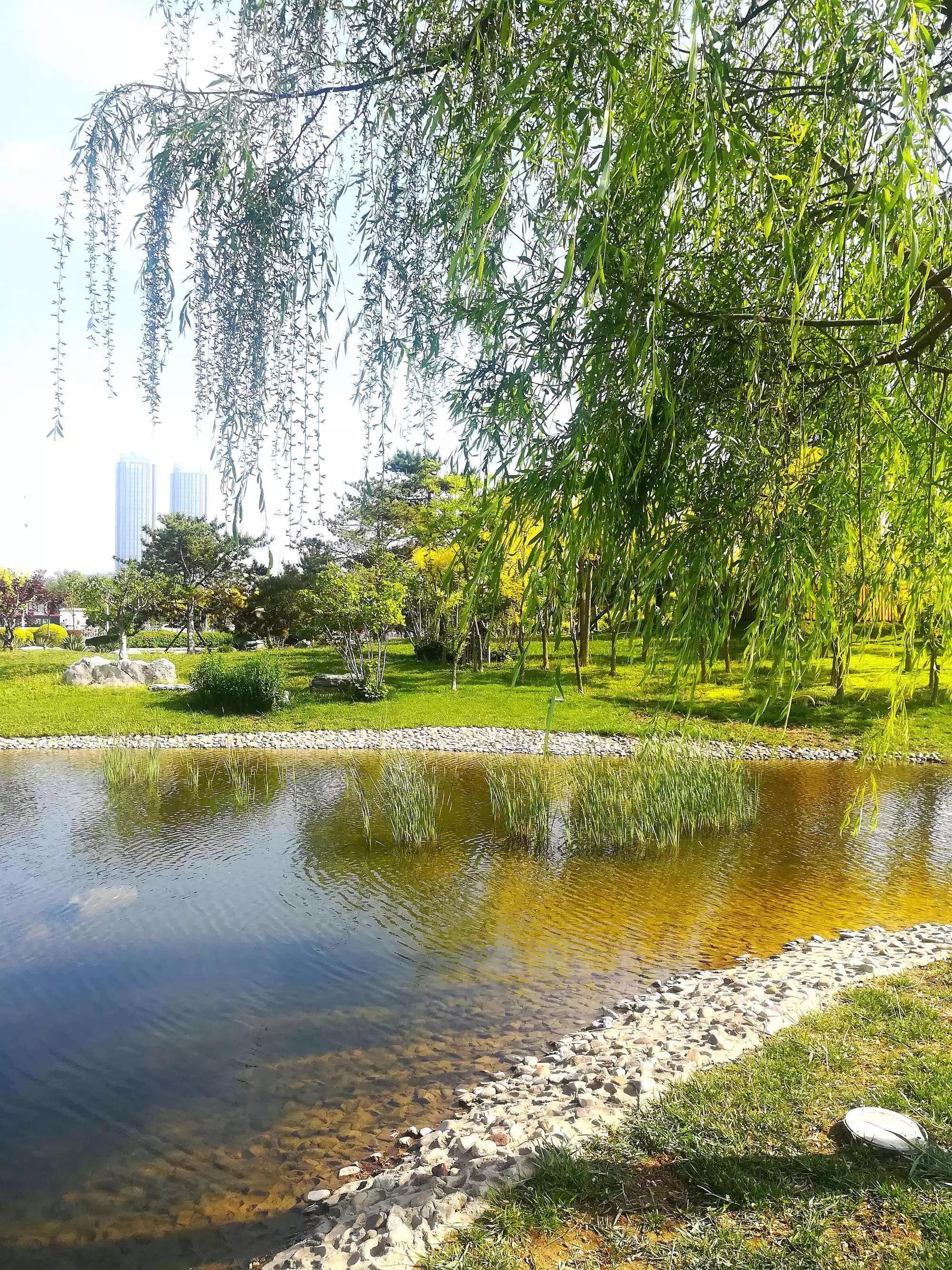 虞美人问君能有几多愁孟庭苇,虞美人春愁古诗三百首