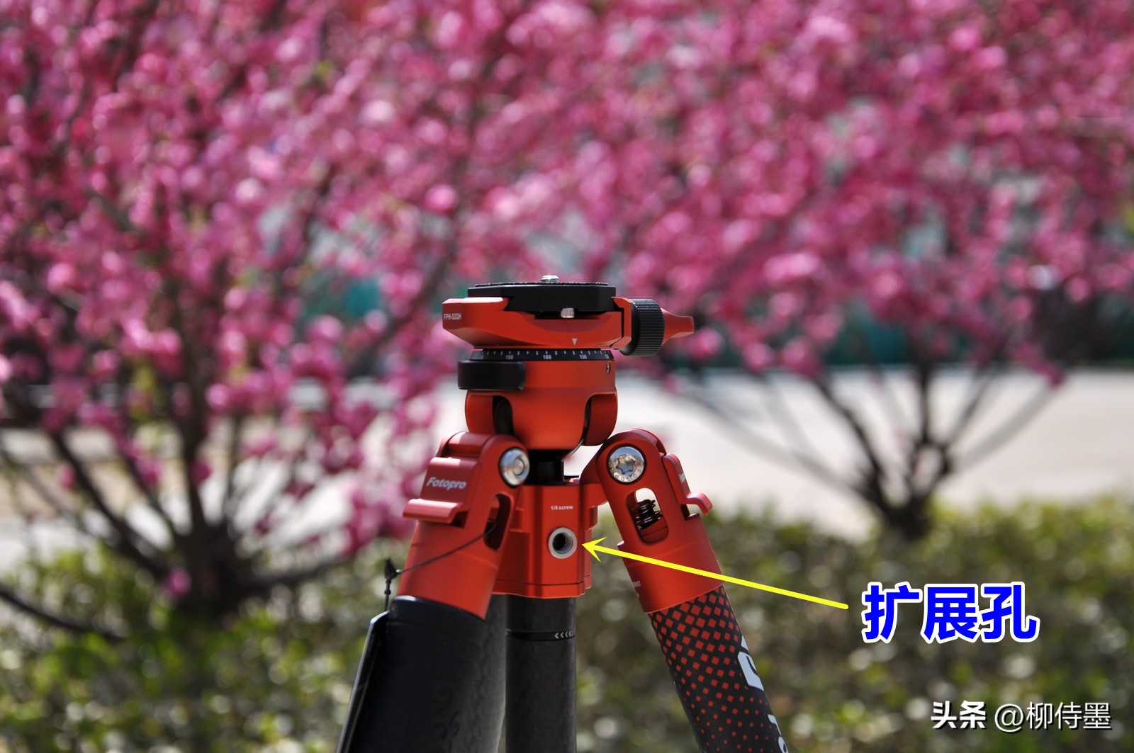 瀵屽浘瀹濋琛屼竴鍙穠ideomax鐏拌壊,鎵嬫満鐩告満閮借兘鐢ㄧ殑闀滃ご